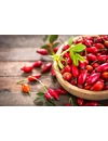 Kép 3/6 - bioKontor Bio csipkebogyó por 500g