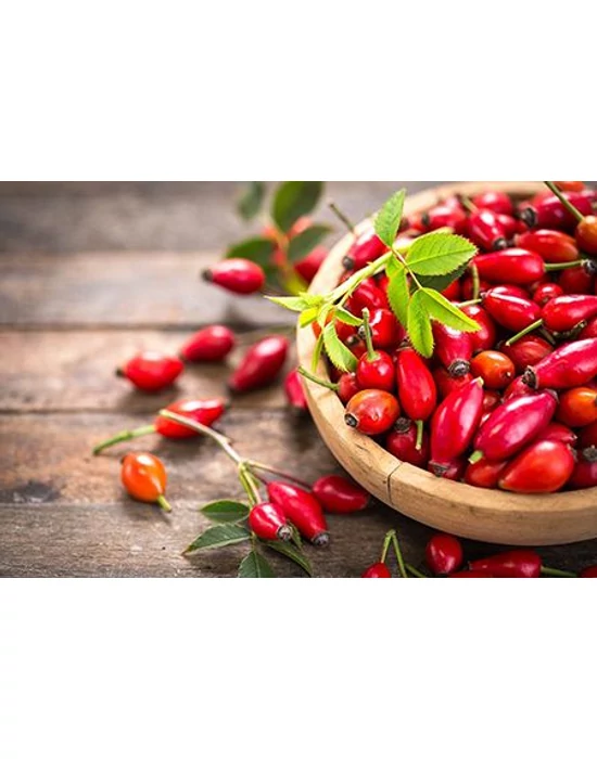 bioKontor Bio csipkebogyó por 500g